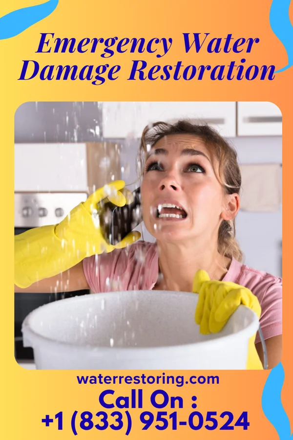 Emergency Water Damage Restoration in Fivepointville, PA