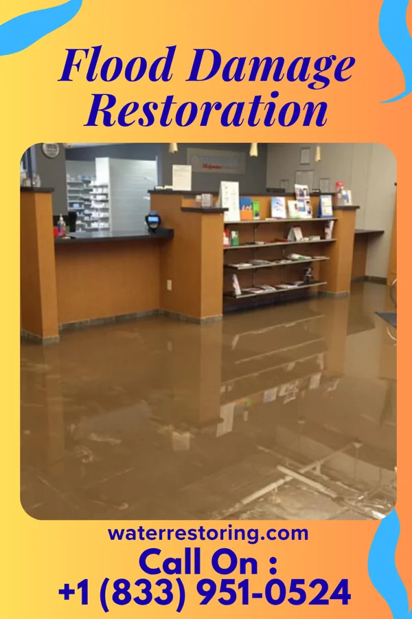 Flood Damage Restoration in Fivepointville, PA