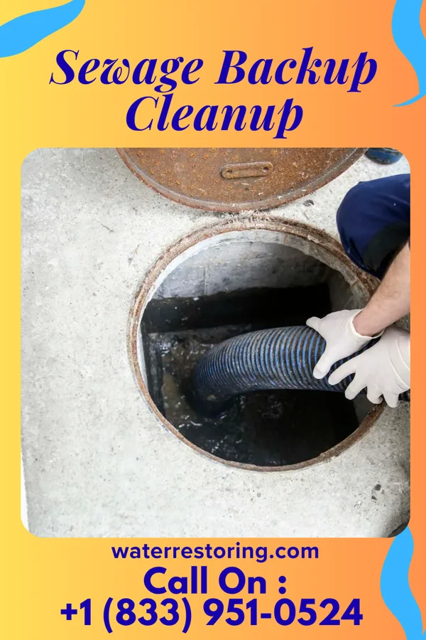 Sewage Backup Cleanup in Fivepointville, PA